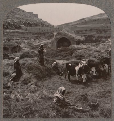 Mlácení obilí poblíž Jacobs Well, c1900 od Unbekannt