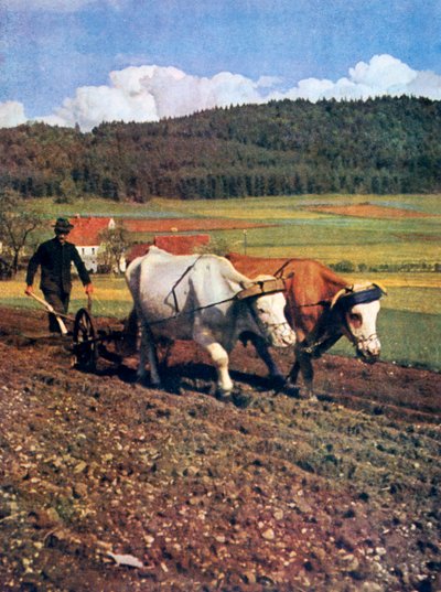 Tilling, Německo, 1943 od Unbekannt