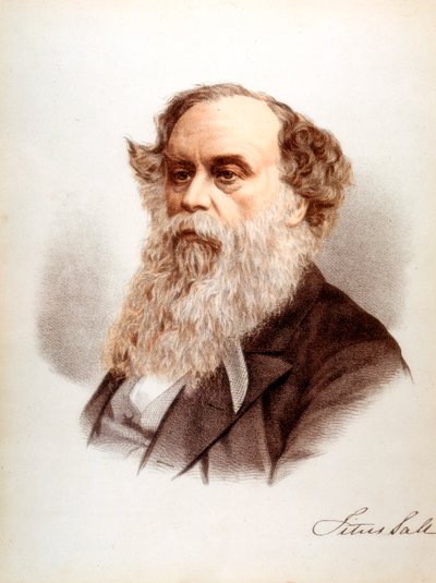 Titus Salt, britský vlnař a průmyslník, c1880 od Unbekannt
