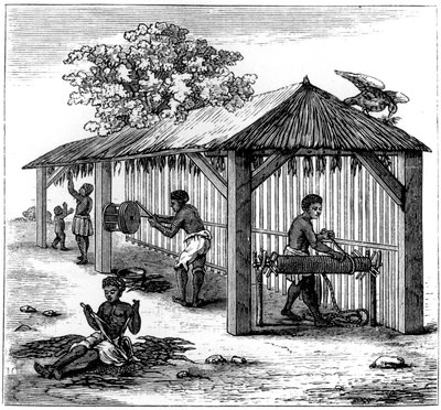Příprava tabáku, 1873 od Unbekannt