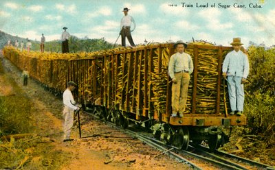 Vlak náklad cukrové třtiny, Kuba, 1910s. od Unbekannt