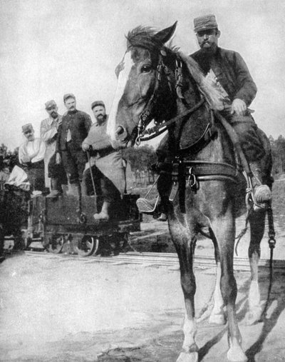 Transport v lese Argonne, Francie, 1915 od Unbekannt