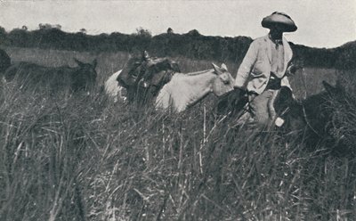 Cestování po pampách, 1916 od Unbekannt