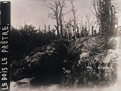Trenches, Bois-le-Prêtre, Lorraine, severní Francie, c1914-c1918 od Unbekannt