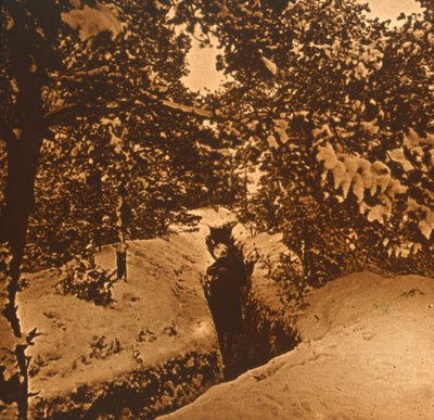 Příkopy pod jedlemi, c1914-c1918 od Unbekannt