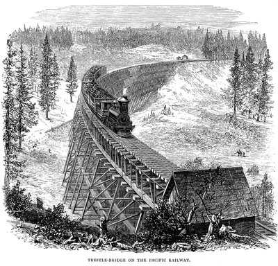 Trestle Bridge na Union Pacific Railroad, USA, 1876 od Unbekannt