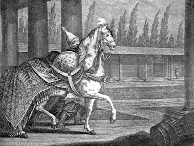 Turecký arabský kůň Sultans, 1722 1938 od Unbekannt