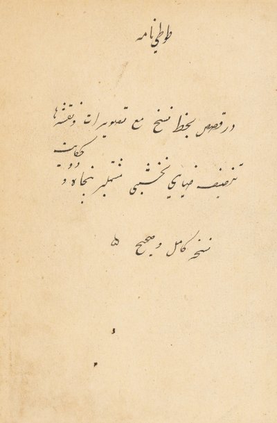 Tuti-Nama Příběhy papouška, c. 1560. od Unbekannt