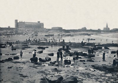 Tynemouth - The Aquarium and Sands, 1895 od Unbekannt