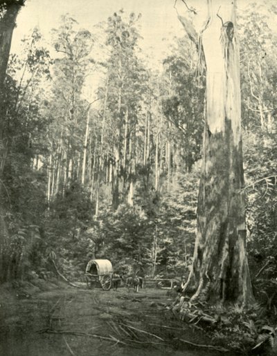 Strýček Sam, 1901. od Unbekannt