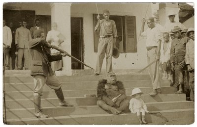 Zkrocená gorila, cca 1910 (č/b foto) od Unbekannt