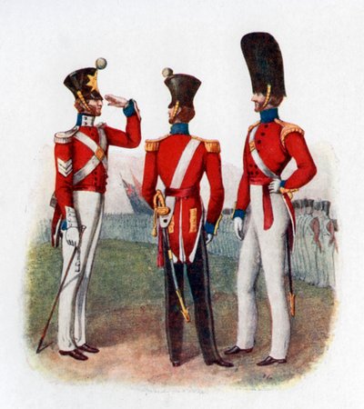 Uniforma 86. pluku, 1842 1904 od Unbekannt