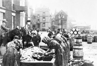 Spojené království : Scottish Herring Gutters at Work in Scarborough. Scarborough, c1890 od Unbekannt