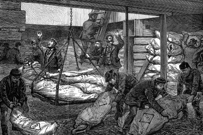 Vykládka zmrazeného masa z Austrálie, South West India Dock, Millwall, Londýn, 1881 od Unbekannt