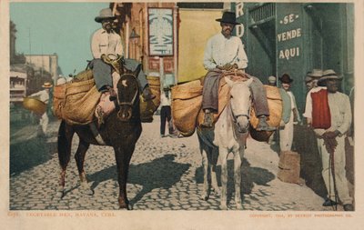 Vegetable Men, Havana, Kuba, 1904 od Unbekannt