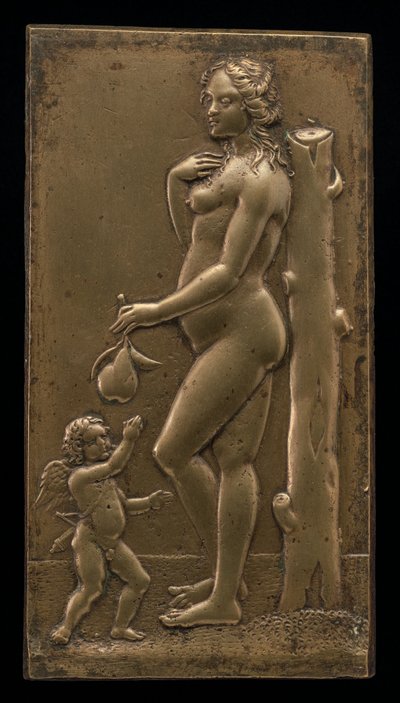 Venuše a Amor, polovina 16. století. od Unbekannt