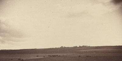 Pohled na pole s krávami, 1850-1860. od Unbekannt
