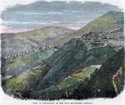 Pohled na Newcastle, v Blue Mountains, Jamajka, c1880 od Unbekannt