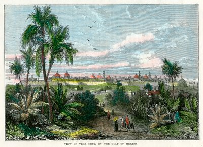 Pohled na Vera Cruz, na Mexický záliv, Mexiko, c1880 od Unbekannt