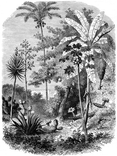 Pohled na španělský Mohan, Guatemala, 1877 od Unbekannt