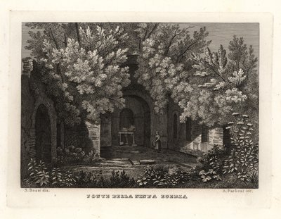 Pohled na pramen nymfy Egeria, Fonte della Ninfa Egeria, Parco Cafarella, Řím od Unbekannt