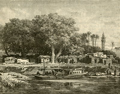 Pohled na deltu Nilu, 1890. od Unbekannt