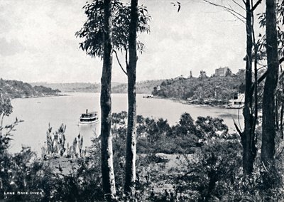 Pohled na řeku Lane Cove, c1900. od Unbekannt