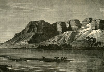 Pohled na Nil, 1890. od Unbekannt