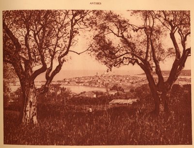 Pohled přes olivovníky do Antibes, 1930. od Unbekannt