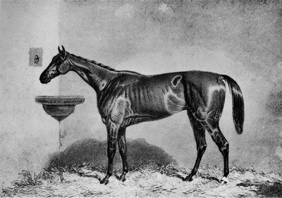 Virago, 1851-1869, 1911 od Unbekannt