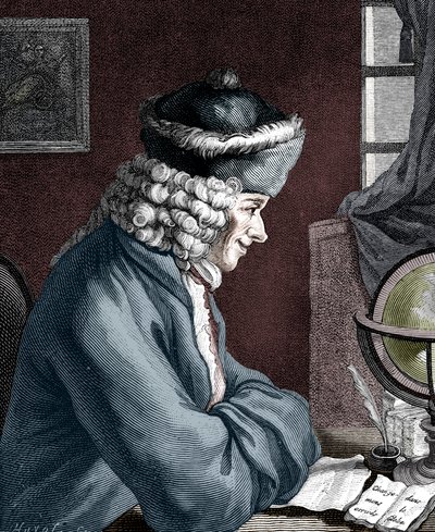 Voltaire, francouzský autor, dramatik, satirik a spisovatel 18. století od Unbekannt