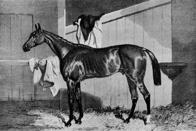 Warlock, 19. století, 1911 od Unbekannt