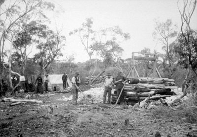 Vodopádový zlatý důl, Boorara, Kalgoorlie, Západní Austrálie, 1896 od Unbekannt