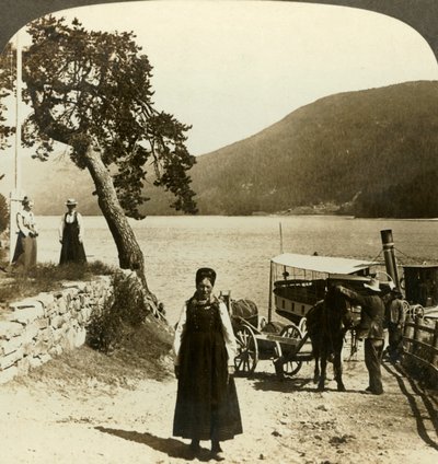 Když jezerní parník zastavuje na molu Tinoset - pohled přes Tinsjo na kopce, Norsko, c1905. od Unbekannt
