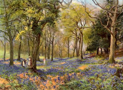 Divoké hyacinty v Surrey Copse, 1906 od Unbekannt