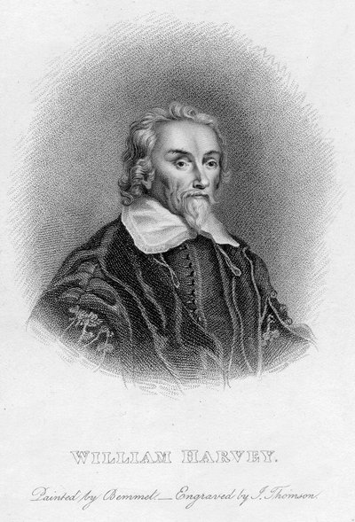 William Harvey 1578-1657 anglický lékař, 17. století od Unbekannt