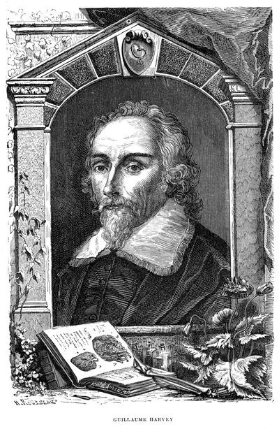William Harvey 1578-1657 anglický lékař, 17. století od Unbekannt