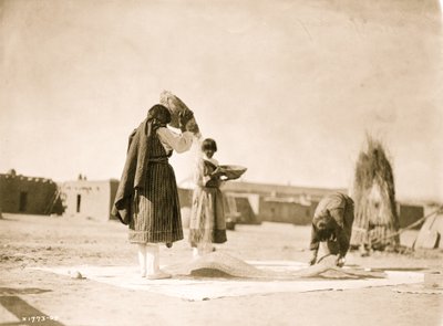 Ožívající pšenici – San Juan 1905 (foto) od Unbekannt