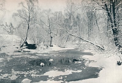 Zimní pohled na skanzen ve Skansenu, c1900 od Unbekannt