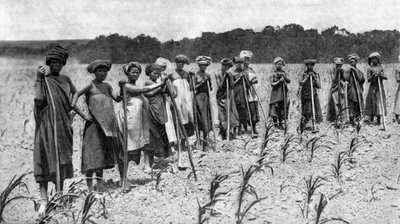 Ženy okopávají pole kukuřice, Jižní Afrika, c1923 od Unbekannt