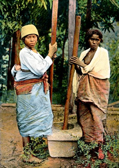 Ženy bušící rýži, Madagaskar, konec 19. století od Unbekannt