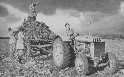 Dámská pozemní armáda zvedá úrodu, druhá světová válka, 1940 od Unbekannt