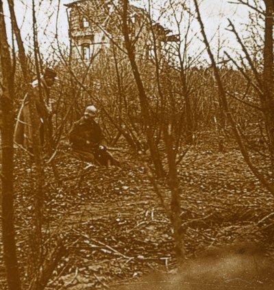 Dřevo, c1914-c1918 od Unbekannt