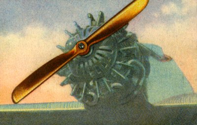 Dřevěná letecká vrtule vyrobená firmou Schwarz Propeller-Werk, 1932. od Unbekannt