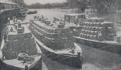 Vlněné čluny na řece Murray, 1923. od Unbekannt