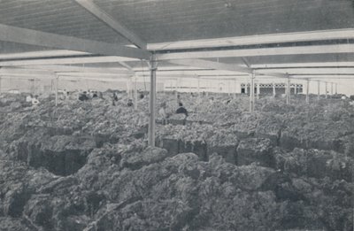 Vlna na prodej v showroomu v Melbourne, 1923. od Unbekannt