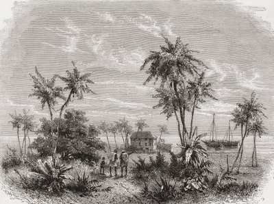 Dům Davida Livingstonea na Zanzibaru, Tunisko, východní Afrika, ilustrace z „Svět v rukou“, vyrytý Henri Theophilem Hildibrandem (1824-97), vydáno 1878 od Unbekannt Unbekannt