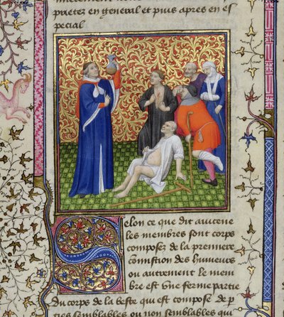 Ms.251 f.54v Lékař se svými pacienty, z Des Proprietez des Choses, kolem 1415 od Unbekannt Unbekannt