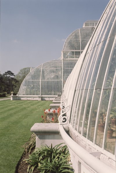 Část Palm House, navržený Decimus Burton, 1800-81 od Unbekannt Unbekannt