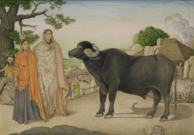Dvě vesnické ženy a buvol ve vesnici Rania, kolem roku 1816, Indián od Unbekannt Unbekannt
